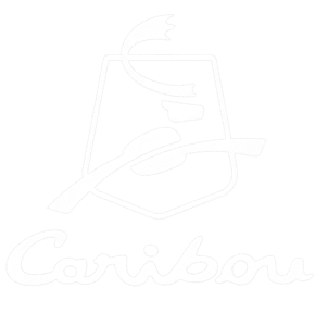 Remove background project (1)